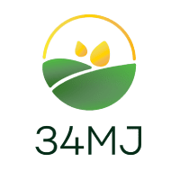 34 MJ Logo